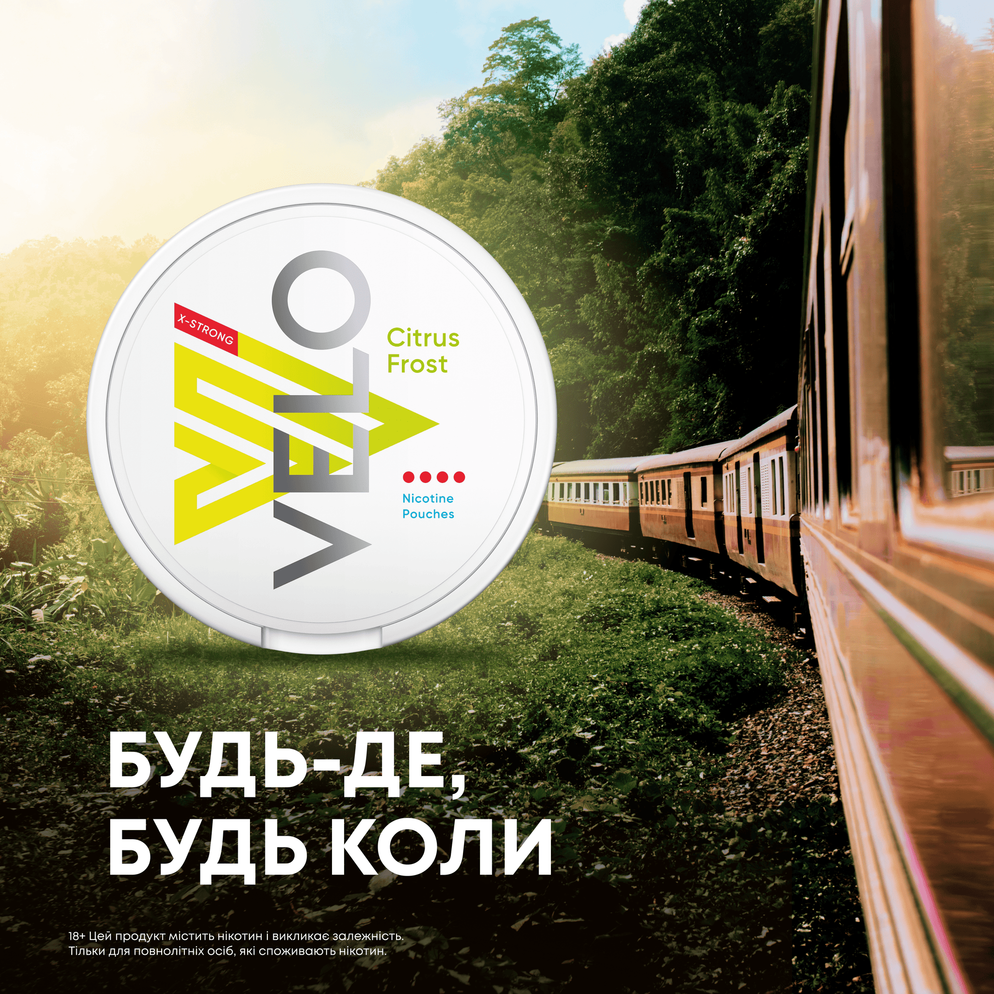 Чи можна палити в поїзді в Україні? Розмір штрафу та чим замінити паління