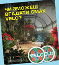 VELO ТАЄМНИЧКА КОЛЕКЦІЯ СЕРІЯ 2 за XP