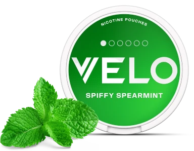 Spiffy Spearmint