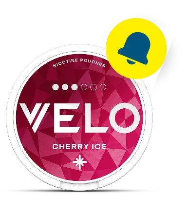 VELO підписка