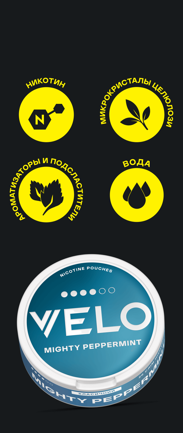 ПОЗНАКОМИМСЯ? Всё о VELO